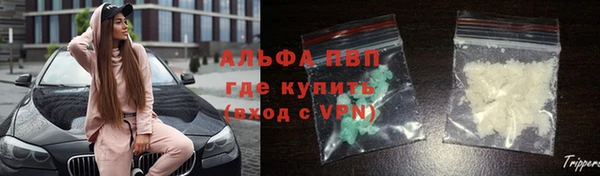 Альфа ПВП Новозыбков