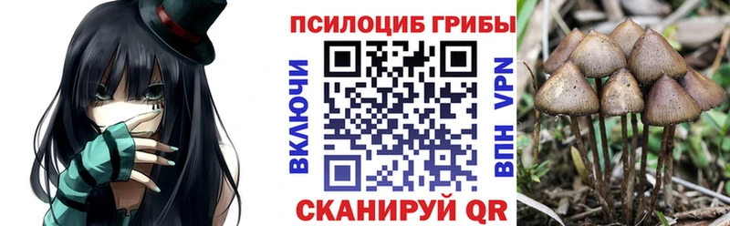 Галлюциногенные грибы MAGIC MUSHROOMS  Харовск 